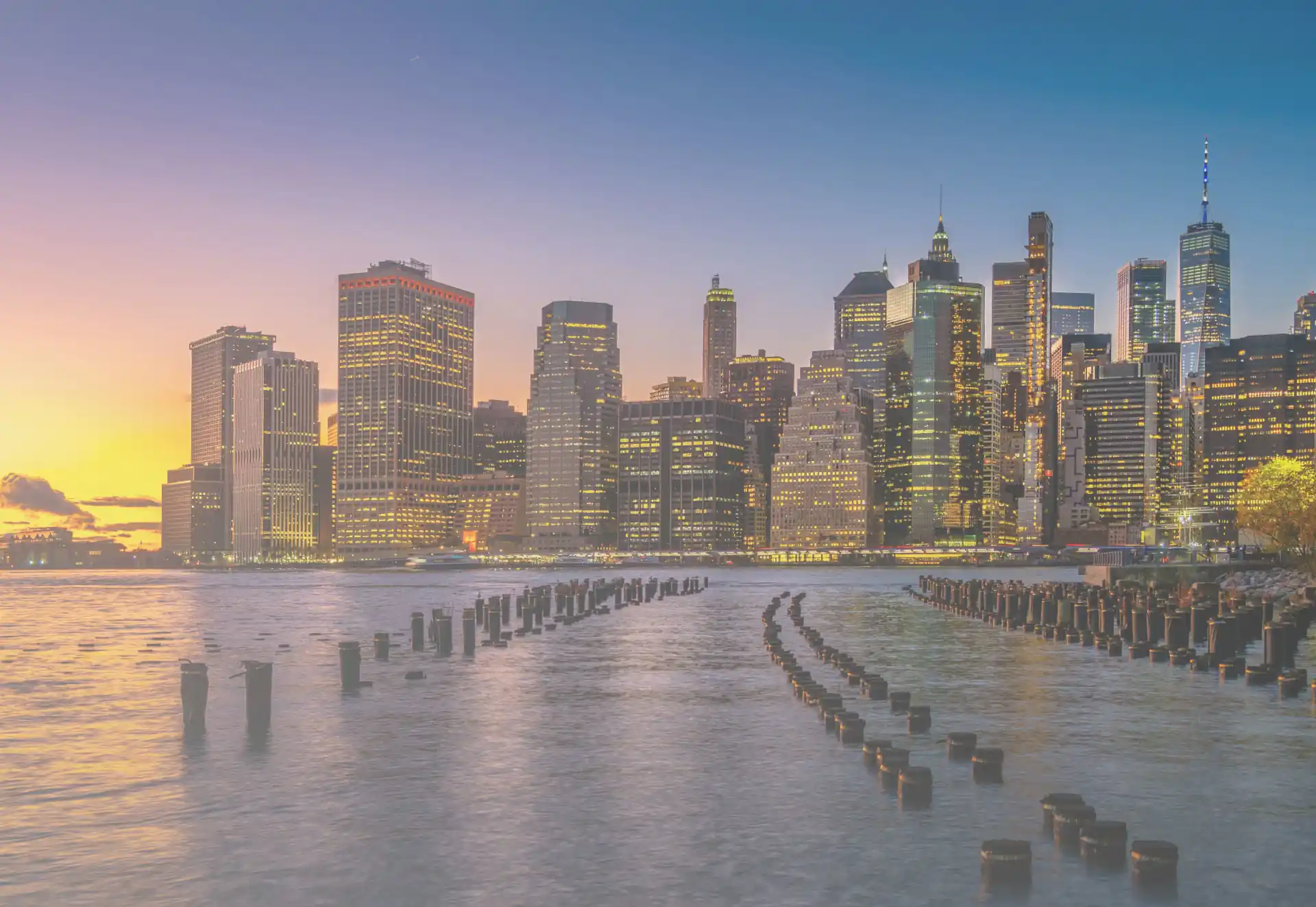 Study in USA Consultant in Peshawar